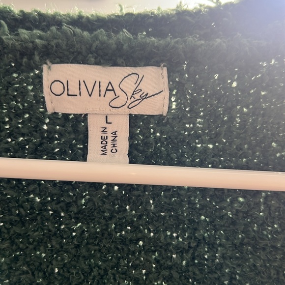 Olivia Sky size large green sweater from Nordstrom Rack. Never worn. - Picture 3 of 7